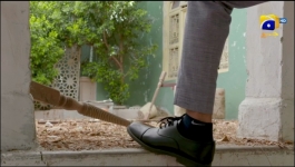 Saaya 2 - 10th Jun 2022